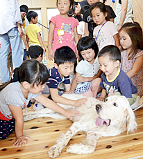 130925topic2.jpg