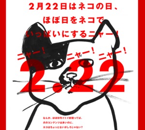 12798-1361435904.jpg