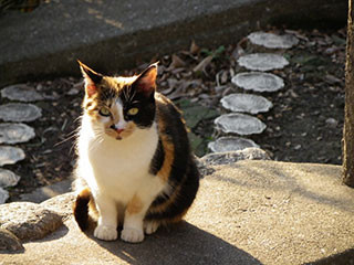 487196l.jpg