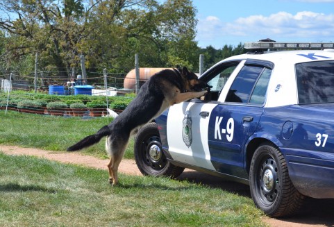 trd13080107310002-n1.jpg